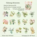 Waterproof PET begonia flower stickers for DIY journaling, 15 pieces in a set - Begonia