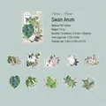 Wasserfeste Alocasia Schwanenpflanzen-Sticker für DIY-Journals, 20-teiliges Set aus PET-Material - Schwanen-Arum