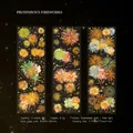 Autocollants PET thème feu d'artifice avec effets dorés laser pour le scrapbooking - Feu D'Artifice Prospère