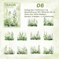 Twilight PET botanical stickers with fern motifs for DIY scrapbooking, 20 pieces set - Fern Shadow Peeking (5733273892488)