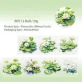 Watercolour white lotus flower PET tape for scrapbooking with 380mm loop patterns - White Jade Lotus