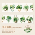 Nastro PET con piante sospese per scrapbooking fai-da-te e decorazione diari - Piante della Serra