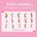 Set di adesivi in PET con coniglietti realistici in 15 stili per scrapbooking - Coniglietto Assonnato