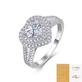 Classic S925 sterling silver heart-shaped moissanite ring with double halo and GRA certificate - US Size 9 / 1 Carat Moissanite + 84 Stones (With GRA Certificate) / Silver