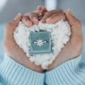 Elegant S925 sterling silver snowflake ring with cubic zirconia in a blue velvet gift box - US Size 6 / Silver (White Zirconia)