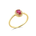 Eleganter s925 Silberring vergoldet mit ovalem rotem Zirkon und weißem Kristallhalo - US-Größe 6 / Gold