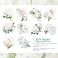 Paquete de 20 pegatinas de flores PET con rosas y margaritas para álbumes de recortes - Canción De Xiaomanchun