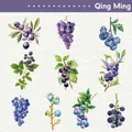 Realistic watercolor berry and grape PET stickers featuring blueberries and blackberries - Deep Blue Grape