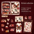 Vintage PET clear stickers Private Collection with butterflies and antique book designs - Private Collection