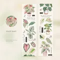 Nastro decorativo PET Diario delle Piante con illustrazioni botaniche ad acquerello verdi - Diario della Pianta