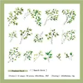 Birch leaves PET botanical stickers set for DIY journaling decoration 30 pieces - Search Birch