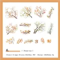 Forest tour PET tree stickers set featuring 30 pieces of watercolor branch scrapbooking motifs - Forest Tour