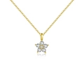 Elegant s925 silver golden flower necklace with sparkling zircons on dainty chain - 925 Silver (40+5cm) / Gold