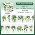 Hanging Pothos PET decorative tape with hand-drawn potted plant illustrations and packaging - Scindapsus Hanging Basket