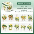 Orange succulent PET decorative tape roll with waterproof illustrations for journaling - Orange Succulent