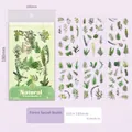 Forest Secret theme natural plant PET stickers set for scrapbooking decoration 6 sheets - Forest Secret Style