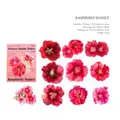 Raspberry Sunset PET floral stickers set with red hibiscus patterns for journaling - Raspberry Sunset