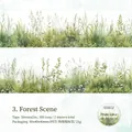 Nastro decorativo in PET scena forestale con motivi di erba per decorare il diario - Scena della Foresta