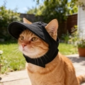 Adjustable black sun protection baseball cap for cats and small dogs in outdoor settings - S / Black