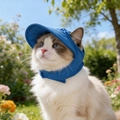 Blue dog baseball cap with ear holes and adjustable strap for outdoor sun protection - L / Blue