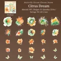 Pack de 25 pegatinas PET con motivos de diente de león y flores en acuarela para manualidades - 25 Piezas por Paquete / Tema Naranja