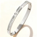 Detail of silver stainless steel bangle with clover design and zircon inlay details - Steel Color Clover Center Zirconia (47-B-3)