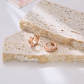 Close-up of rose gold stainless steel huggie earrings with a brushed texture finish - Rose Gold