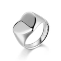 Polished silver stainless steel signet ring with a minimalist heart-shaped top surface - US 6 / Steel Heart Signet Style (13-C-9) / Steel