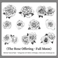 Black and white hand-drawn rose theme stickers specialty paper 10-piece floral pack - Silver Moon (Black & White)