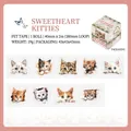 Cute hand-drawn cat theme PET tape for DIY scrapbooking 40mm wide by 2m long roll - Sweetheart Cat