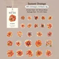Sunset Orange PET flower stickers with 25 unique vintage hand-drawn floral patterns - Sunset Orange
