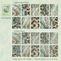 Water texture scrapbooking paper with light and vellum material in ripples pattern - Stone Beach