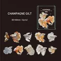 Retro Story Kampffisch PET Aufkleber Set in Champagnergold für Journal Dekoration - Champagner Fließendes Gold