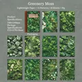Green Moss nature scrapbook paper set for DIY journals with botanical textures - Green Moss