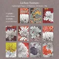 Lichen texture decorative paper set for scrapbooking, 30 sheets of vintage nature motifs - Lichen Texture