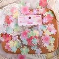 Vintage Kirschblüten-Aufkleber auf Holztablett mit Spitze und Perlen Hintergrund - Kirschblüte Blüte