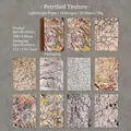 Nature Canvas series light paper with 10 stone texture patterns for DIY scrapbooking - Petrified Texture