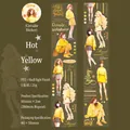 Hot Yellow PET washi tape with shell light finish and stylish girl character illustrations - Fiery Yellow