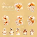 Floral PET stickers with gold foil glass effect for scrapbooking and decoration - Calendula Joy