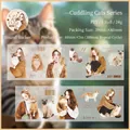 Cat and girl PET decorative tape, 60mm x 2m roll featuring detailed hand-drawn illustrations - Petting Cats