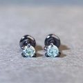 Macro view of gunmetal dragon claw stud earrings featuring sparkling round stones - 0.1ct Moissanite / Sky Blue-Green (Black Metal)