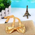 Detail einer glänzenden goldenen Pailletten-Fliege für Kinder mit verstellbarem Band - Gold
