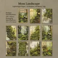 Papier léger Secret de la Forêt thème paysage de mousse pour journal créatif rétro - Paysage moussu
