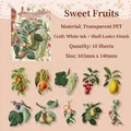 Adesivi vintage in PET a tema frutta con finitura lucida per decorazione scrapbooking - Frutta Dolce