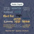 Set di 30 adesivi in PET stile gotico metallico per journaling e decorazioni fai-da-te - Snake Liquid
