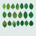 Set di 40 adesivi in PET con foglie verdi e 20 disegni botanici per decorazione scrapbooking - Ombre di Foglie Danzanti