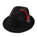 Black wool fedora hat with elegant gradient feather detail and ribbon for men and women - Black