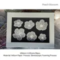 3D peach blossom stickers with 30 pieces of embossed vellum paper for scrapbooking - 30 Sheets / Peach Blossom