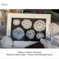 3D foam daisy vellum stickers for scrapbooking in semi-transparent Magritte series - 30 Sheets / Daisy