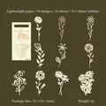 Papier de scrapbooking floral avec de petites marguerites sur support papier léger - Petite Marguerite
